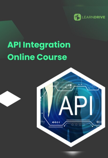API Integration Online Course - LearnDrive Key - GLOBAL