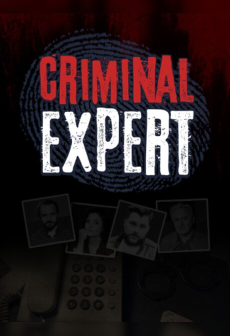 Criminal Expert (PC) - Steam Gift - EUROPE