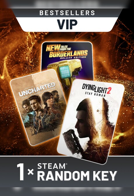 Bestsellers VIP Random 1 Key (PC) - Steam Key - EUROPE