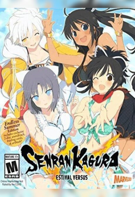 SENRAN KAGURA ESTIVAL VERSUS Steam Gift NORTH AMERICA