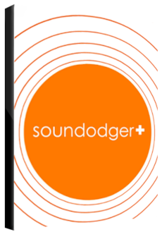 Soundodger Steam Key GLOBAL