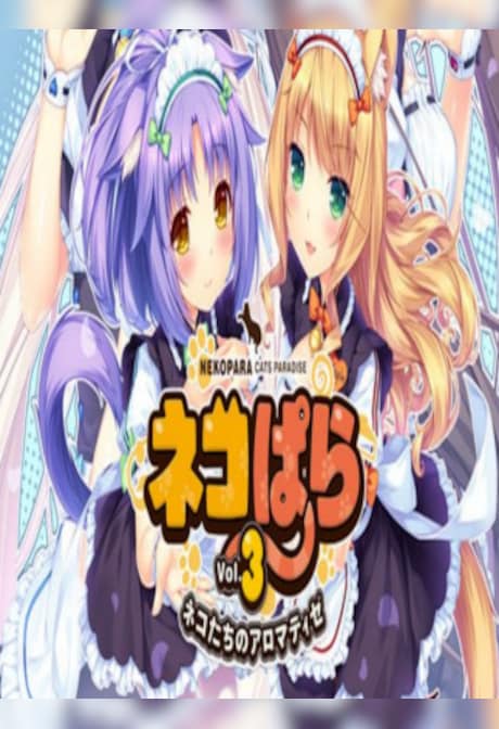 NEKOPARA Vol. 3 Steam Gift NORTH AMERICA