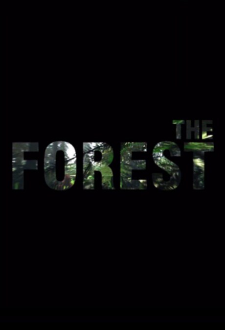 The Forest (PC) - Steam Gift - NORTH AMERICA
