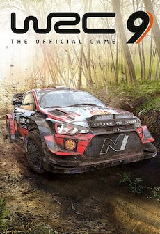 WRC 9 FIA World Rally Championship (PC) - Steam Key - EUROPE
