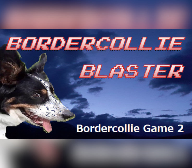 BorderCollie Blaster