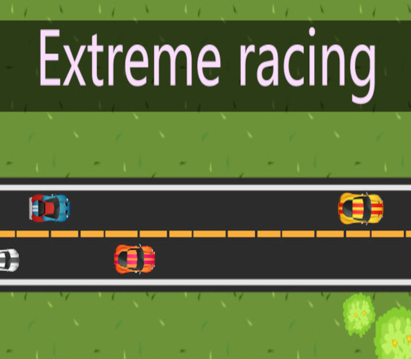 Extreme Racing