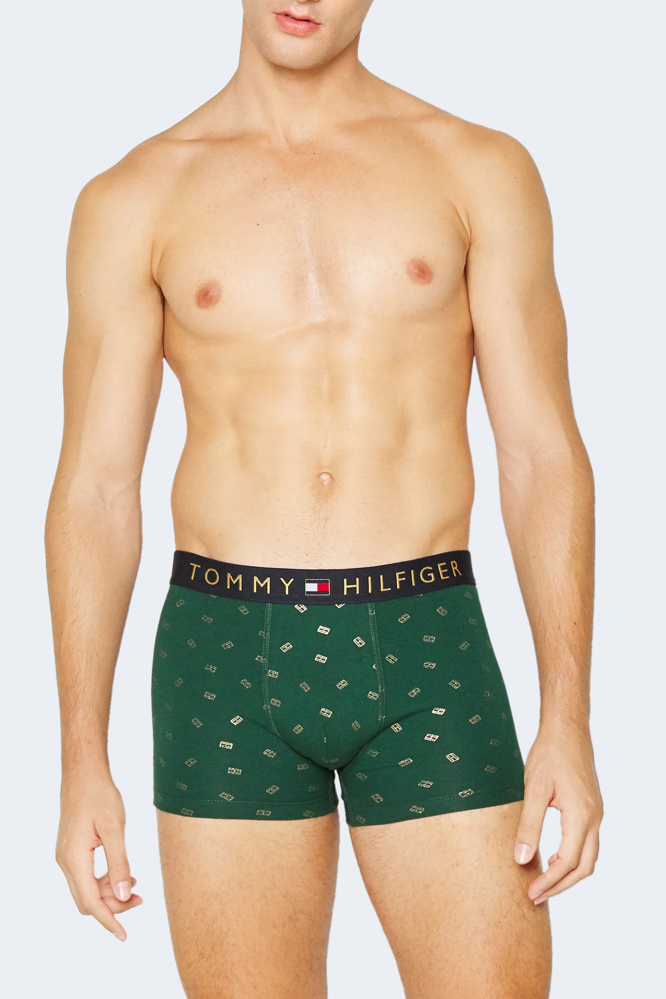 Tommy Hilfiger Sous-vêtements homme Sous-vetements — green