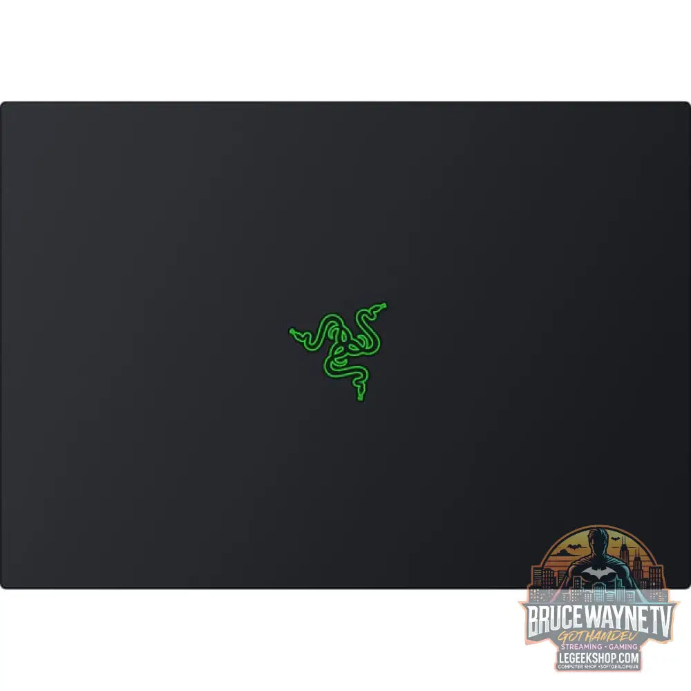 Razer Blade 16 (RZ09-05819GN9-R3G1), Gaming-Notebook - vue 9