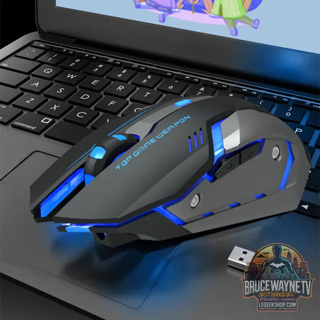 Souris Gaming Sans Fil Rechargeable Silencieuse RGB vs Souris : quel Souris Gaming choisir ?