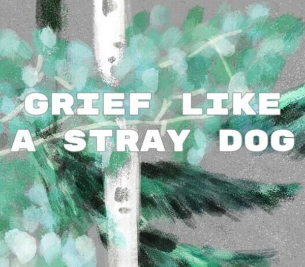 Grief like a stray dog