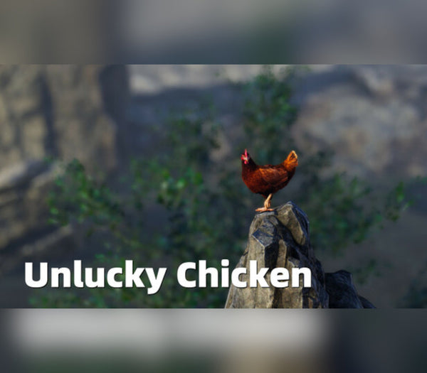 Unlucky Chicken