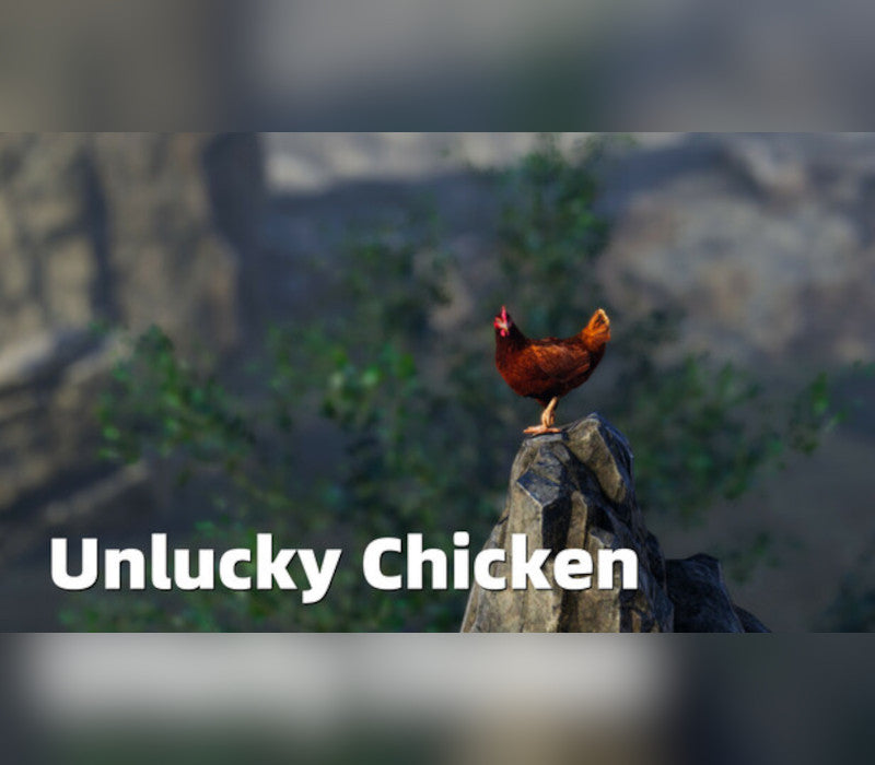 Unlucky Chicken