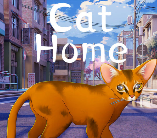 Cat Home