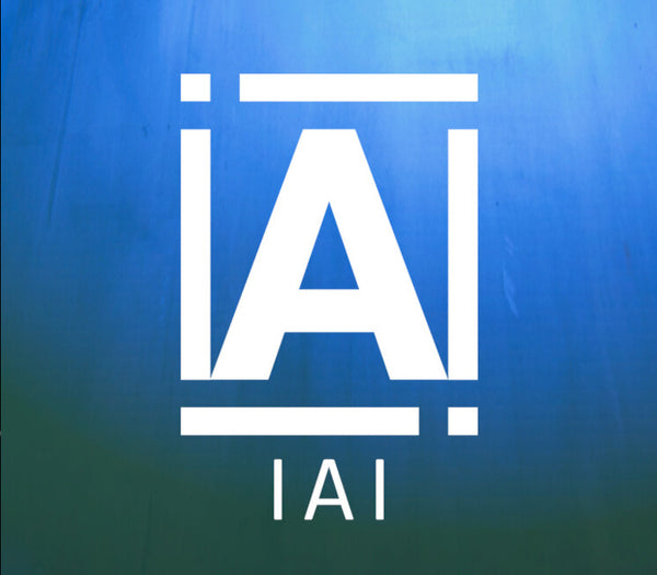 IAI (2025) Meta Quest