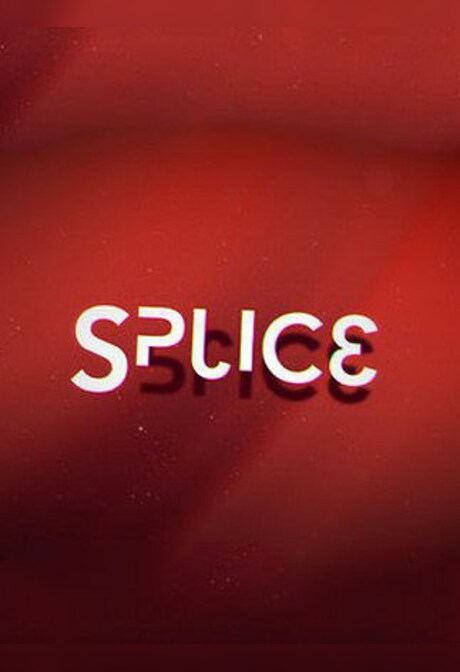 Splice Steam Key GLOBAL