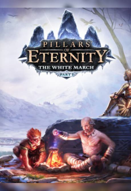 Pillars of Eternity - The White March Expansion Pass Steam Gift EUROPE