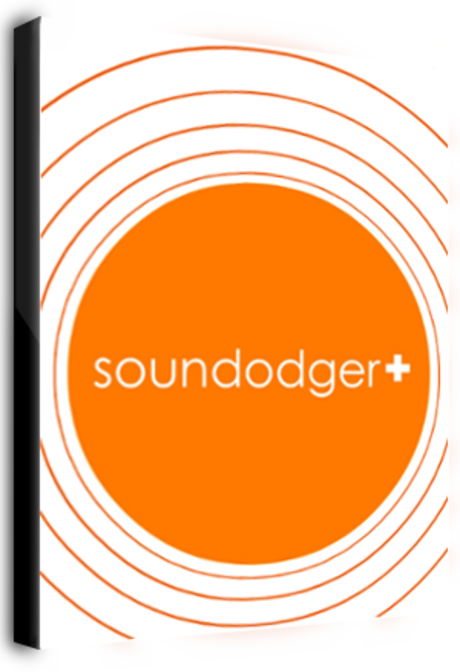 Soundodger Steam Key GLOBAL