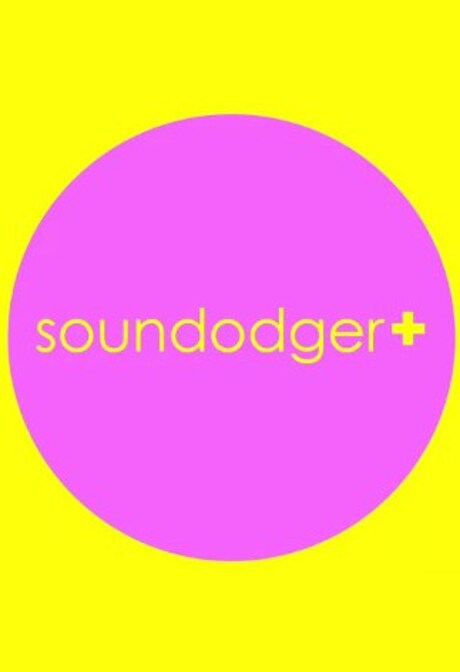 Soundodger+ and Soundtrack Steam Key GLOBAL