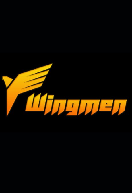 WingMen Steam Key GLOBAL