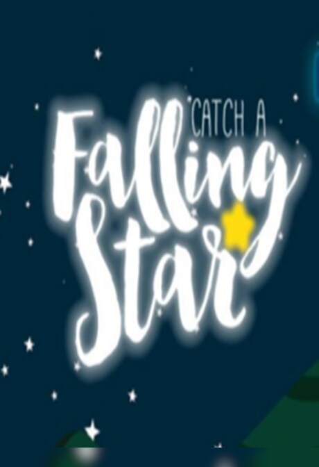 Catch a Falling Star Steam Key GLOBAL