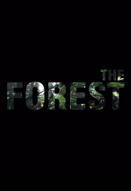 The Forest (PC) - Steam Gift - BRAZIL