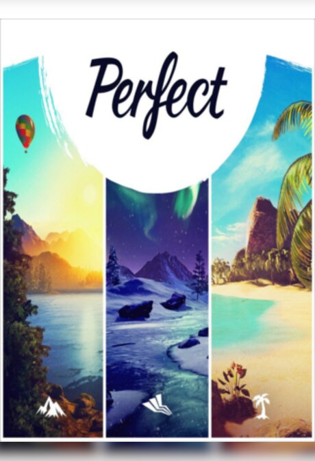 Perfect Steam Key GLOBAL