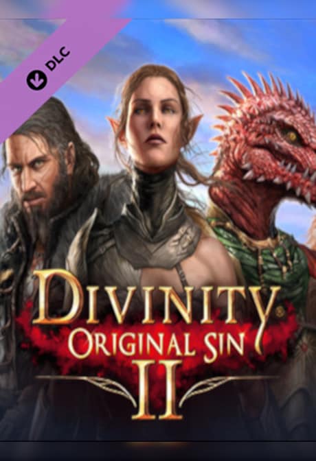 Divinity: Original Sin 2 - Divine Ascension Steam Gift NORTH AMERICA