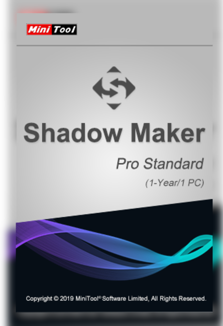 MiniTool ShadowMaker Pro Standard 1 Device 1 Year MiniTool Solution Key GLOBAL