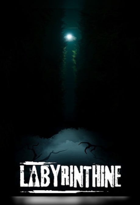 Labyrinthine (PC) - Steam Key - GLOBAL