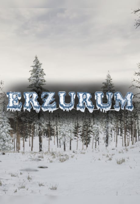 Erzurum (PC) - Steam Key - GLOBAL