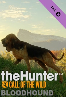 theHunter: Call of the Wild - Bloodhound (PC) - Steam Gift - GLOBAL