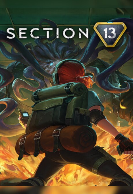 Section 13 (PC) - Steam Key - EUROPE