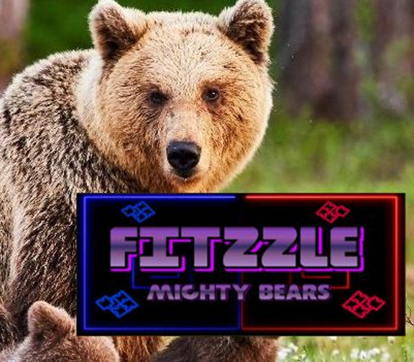 Fitzzle Mighty Bears
