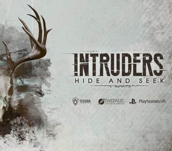Intruders: Hide and Seek
