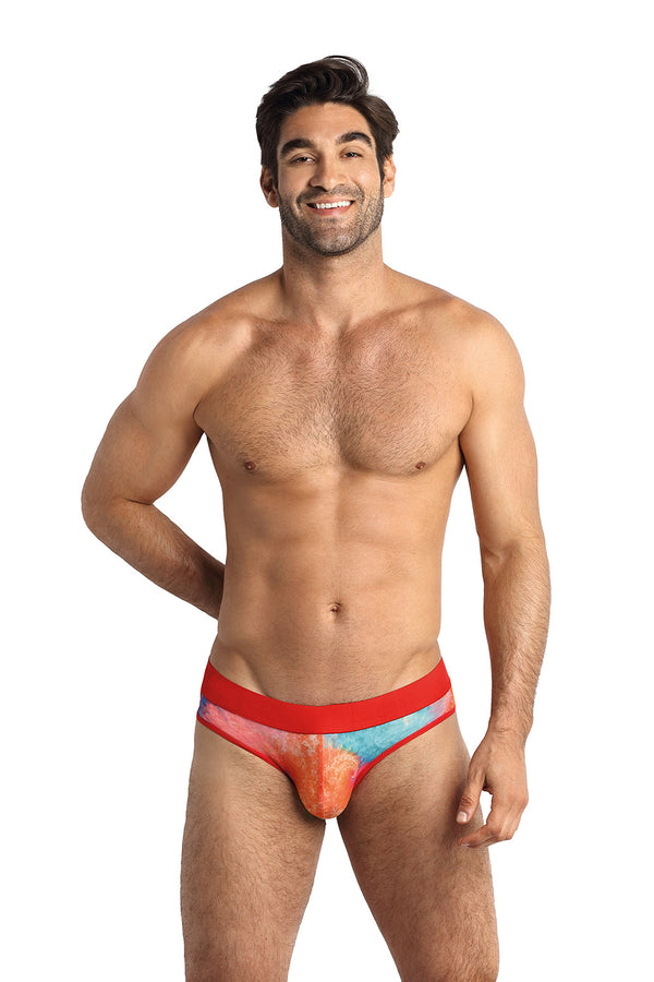 Culotte homme Anais Slip Slip — multicouleur