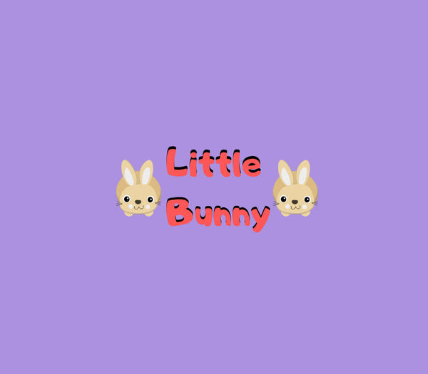 Little Bunny