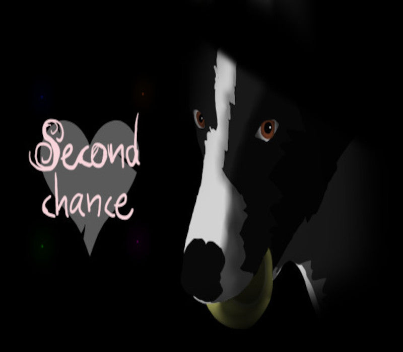 Second Chance