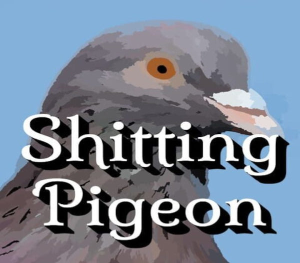 Shitting Pigeon