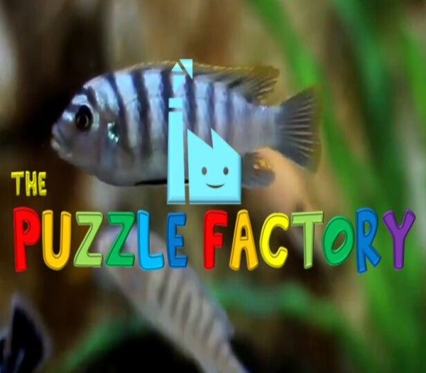 The Puzzle Factory