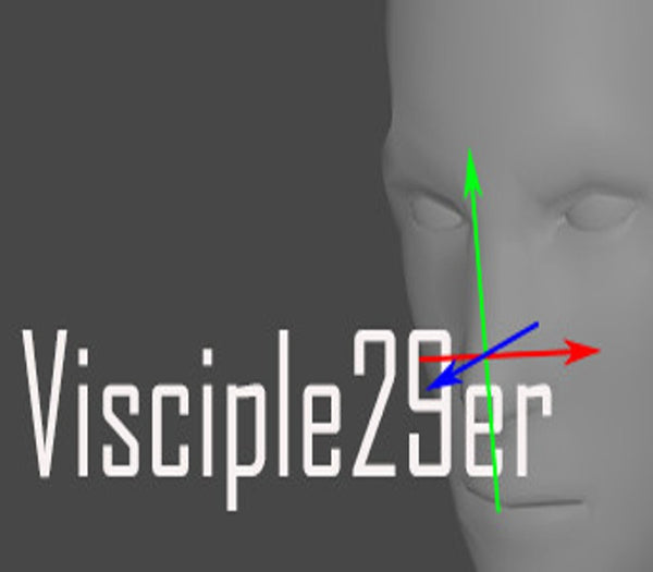 Visciple29er