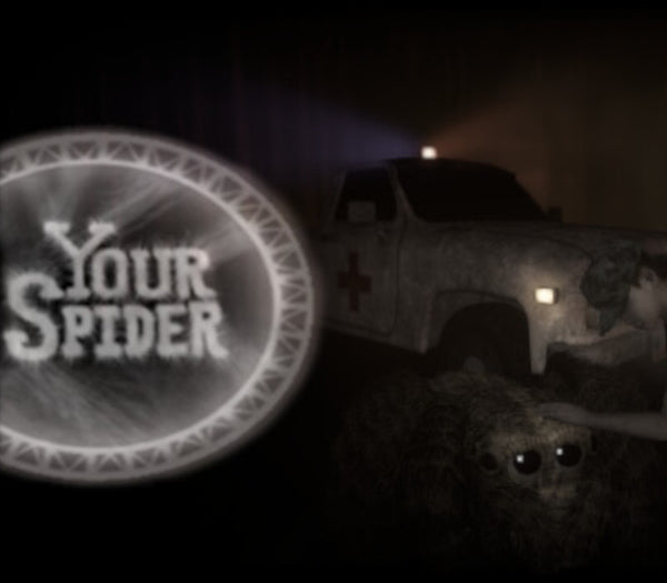 Your Spider