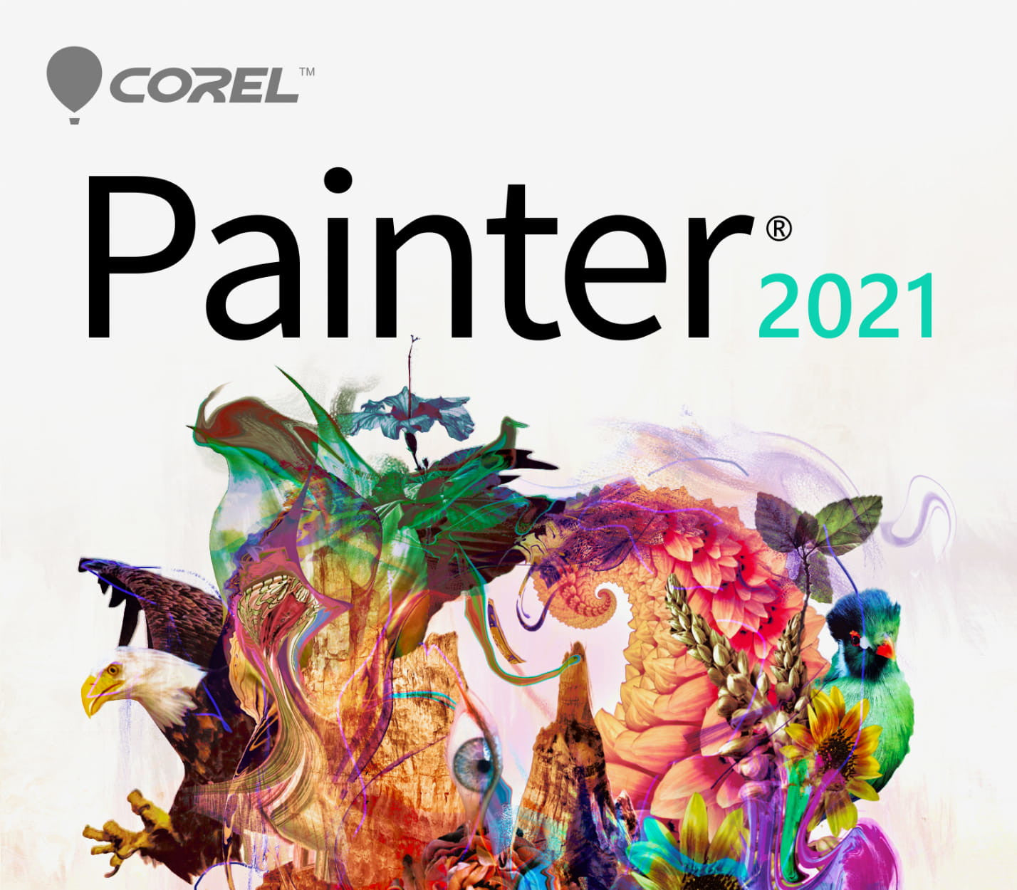 Corel Painter 2021 CD Key (10 PCs)