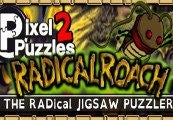 Pixel Puzzles 2: RADical ROACH