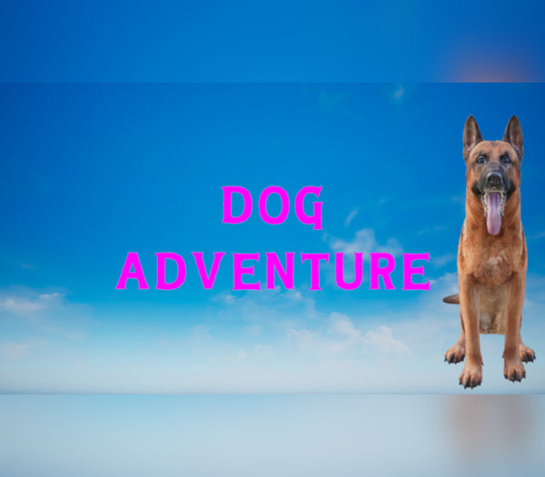 Dog Adventure