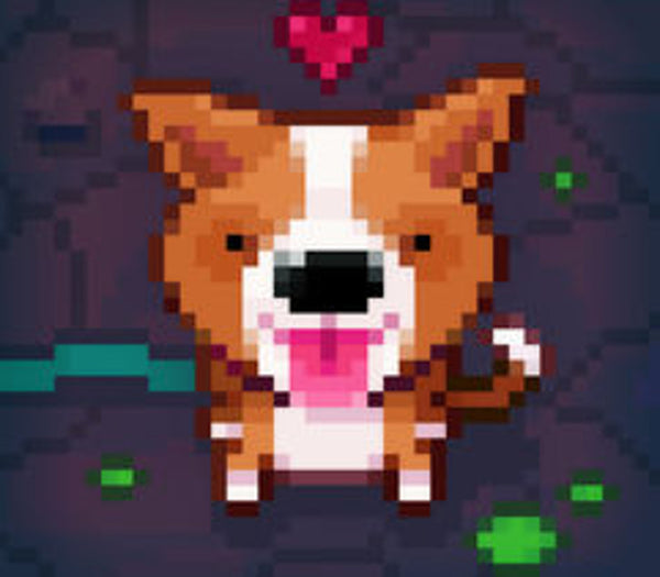 Fidel Dungeon Rescue