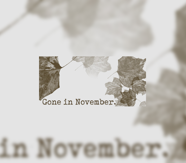 Gone In November