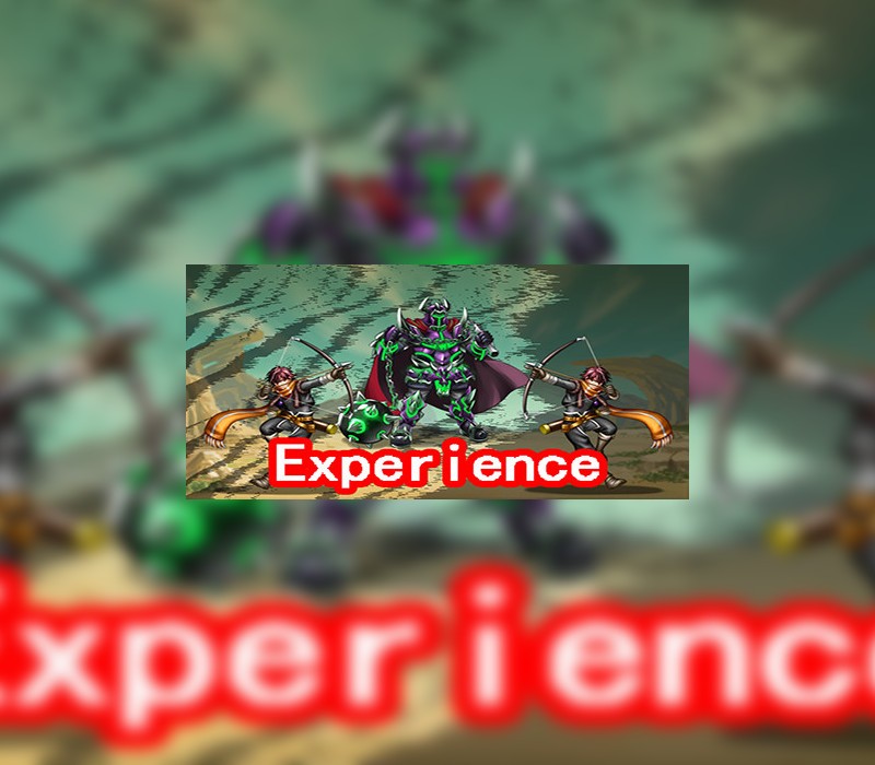 Experience