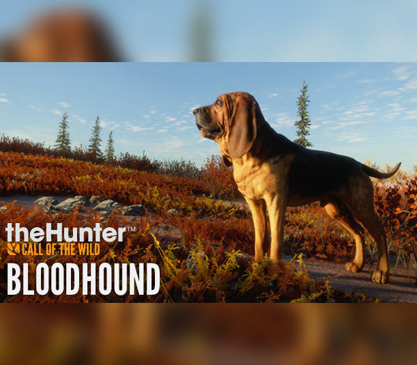 theHunter: Call of the Wild - Bloodhound DLC