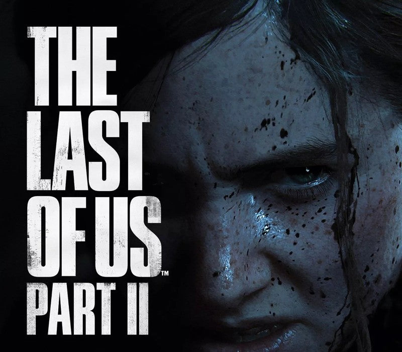 The Last Of Us Part 2 PS4 Access