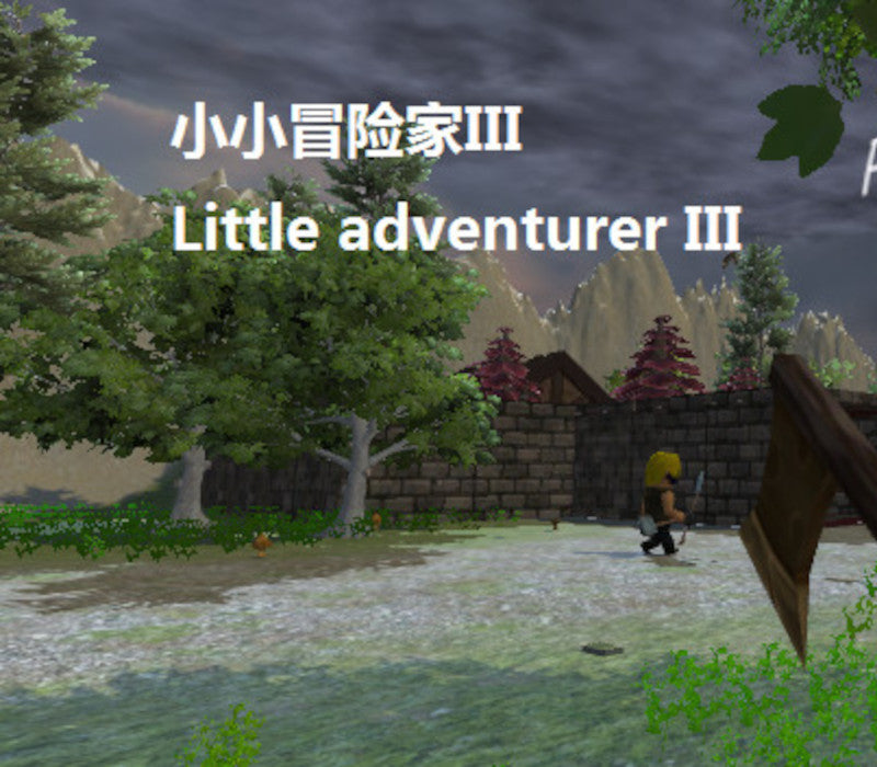 Little Adventurer III